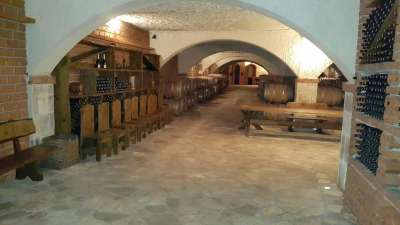 Peljesac Wine Tasting